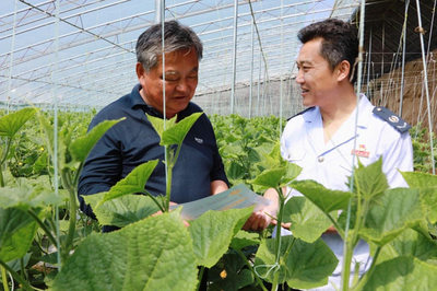 以稅惠農 描繪鄉村振興好“豐”景——山東省稅務局精準服務農業生產托管顯實效